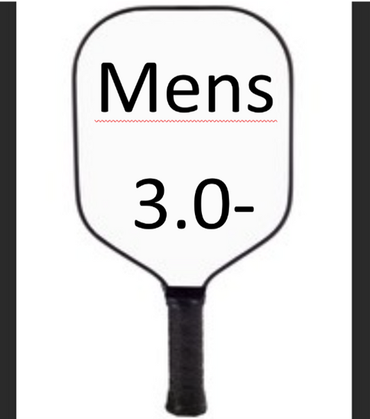 Mens 3.0- Doubles at Leicestershire Pickleball Tournament. Saturday March 30th 2024.